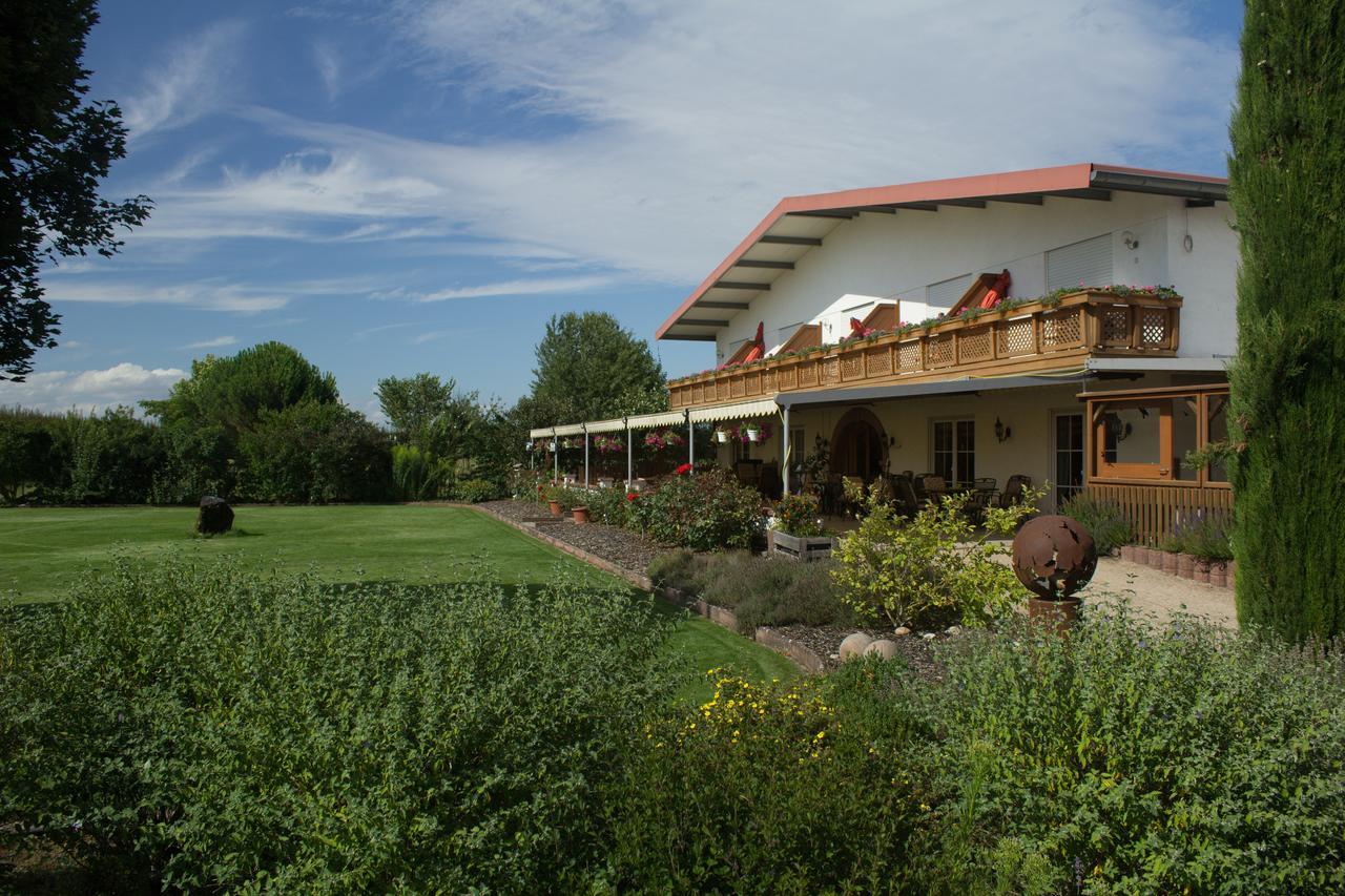 Altdorf  Gaestehaus Vinetum מראה חיצוני תמונה